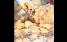 Depo dönemi başladı, patates makası açıldı.