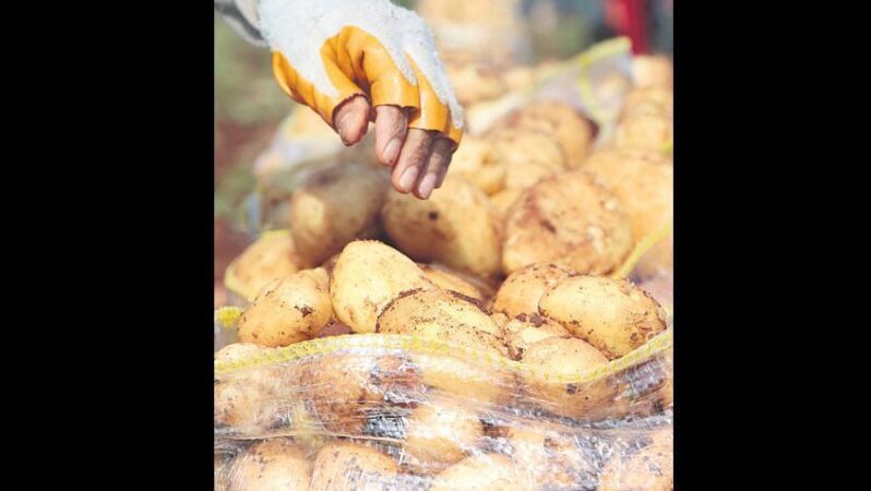 Depo dönemi başladı, patates makası açıldı.