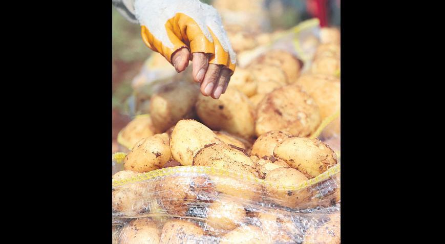Depo dönemi başladı, patates makası açıldı.