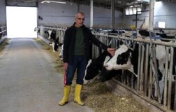 Devlet yardımından faydalanarak kurdu! Günlük 1 ton süt üretiyor.