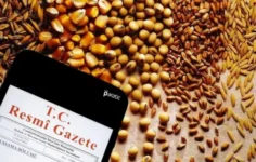 Tahıl İhracatına Gümrük Muhafiyeti İlaç mı Yoksa Zehir mi?