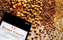 Tahıl İhracatına Gümrük Muhafiyeti İlaç mı Yoksa Zehir mi?