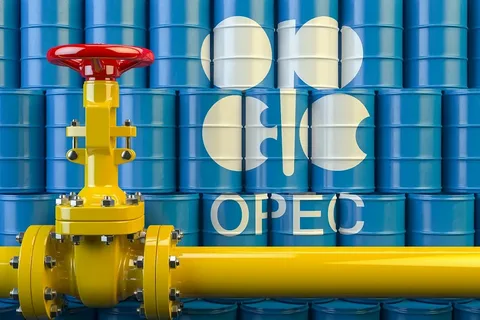 OPEC Dünya Petrol Görünüm Raporu Açıklandı
