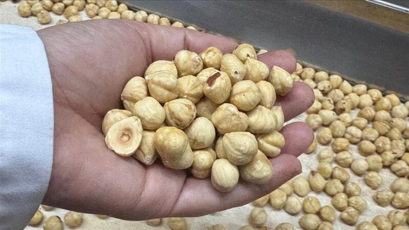 Türkiye, fındık ihracatından 351 milyondan fazla gelir elde etti.