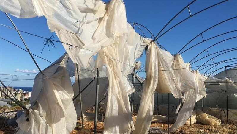 Üreticilere 11,6 milyar lira zarar tazminatı ödendi.