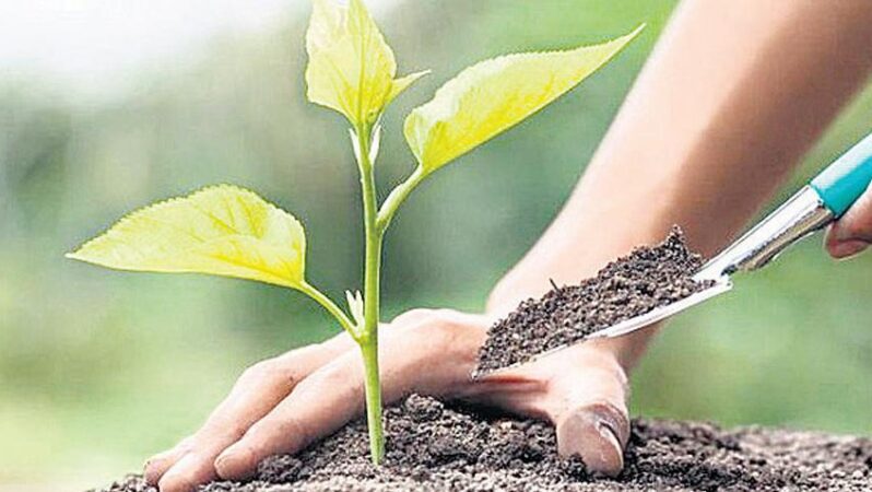 Yeşil vatan harekâtı 11 Kasım’da başlıyor