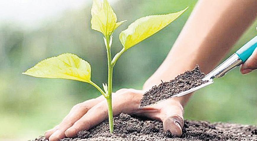 Yeşil vatan harekâtı 11 Kasım’da başlıyor 3 Yeşil vatan harekâtı 11 Kasım’da başlıyor